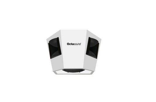 加拿大octasound品牌指向性180°X120°系列音箱SP-520A