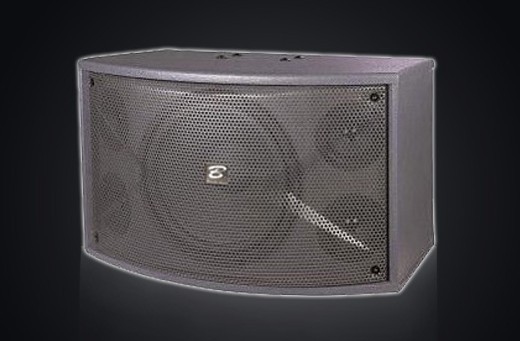 EKING(泓声音响)   K-10B   专业卡拉OK音箱