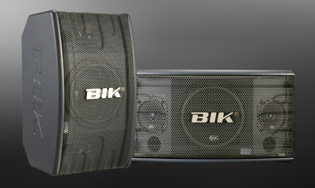 BIK    BS-330    6.5"多功能卡拉OK音箱